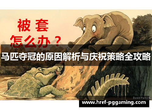 马匹夺冠的原因解析与庆祝策略全攻略